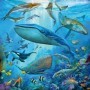 Puzzle Lumea Subacvatica, 3X49 Piese Ravensburger - 5